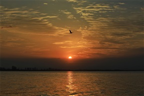 日落阳澄湖