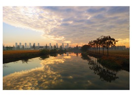 《乡村风景》