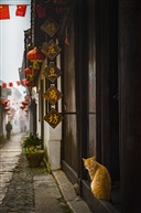古镇老街