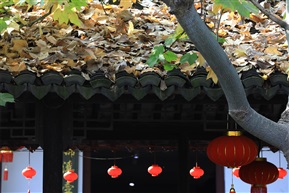 金溪．秋（3）
