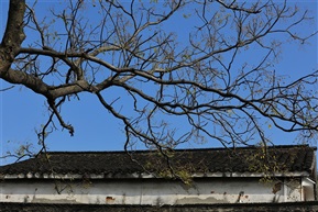 锦溪．秋（4）