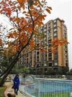 小区秋色