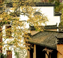《秋色满园》