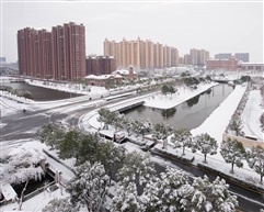 雪后的早晨