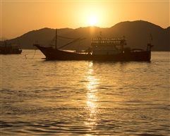 《海港朝晖》