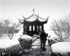 赏雪