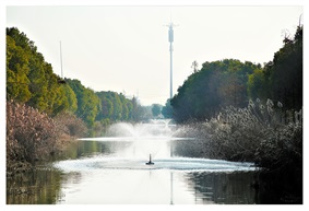 昔日臭水浜  今天如花园