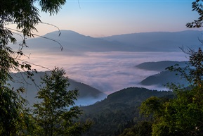 景迈云海