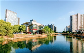 《花桥徐公河商业区》