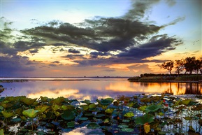 《夕照阳澄湖》