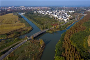 今日绰墩村