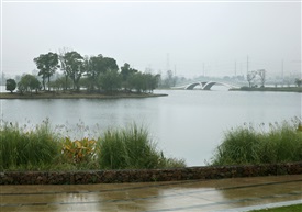 烟雨白鹭湾