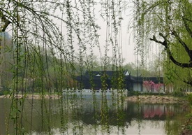 春到亭林园2