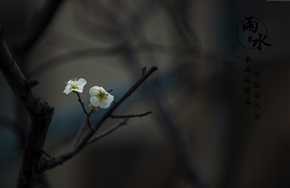 梅花