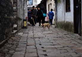 匆匆路上