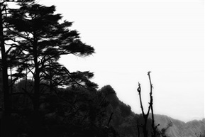 《水墨峨眉山》