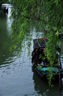 《江南.春》