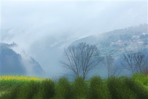 山春