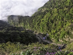 泰山登山道