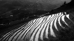 梯田
