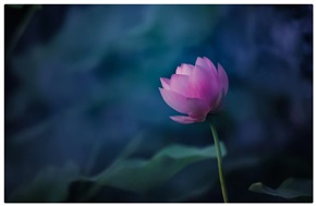 荷