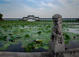 《守护锦溪》