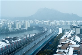 《亭林大桥冬景》