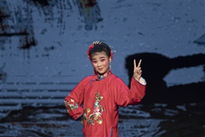 《王小赶脚》14