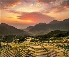 《红映天地》
