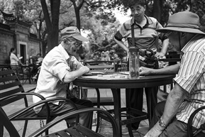观棋不语