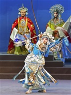 《百岁挂帅》15