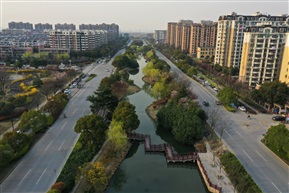 张浦绿树成荫路