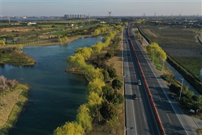 江浦绿化道路