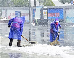 《雪中情》