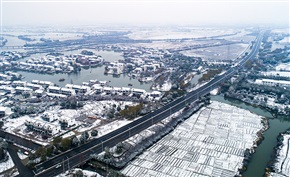 《雪后江浦路》