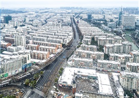 《初雪柏庐路》