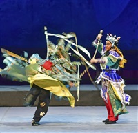 《百岁挂帅》17