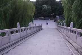 别