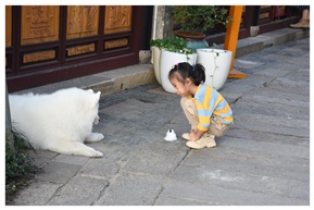 观察