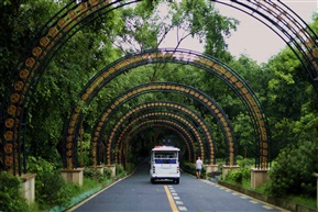 山路