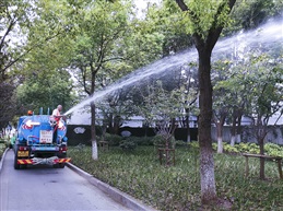 《护树》