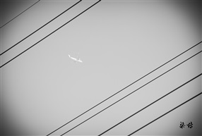 飞过