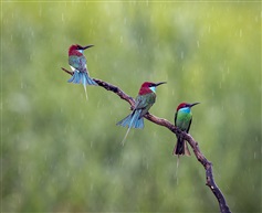 《风云际会》