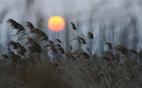 夕阳西去何时还