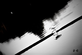 跃