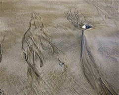 《相亲相爱——沙画》