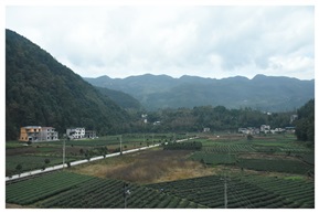 乡间