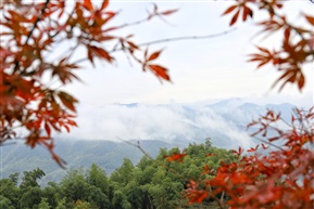 山村秋色