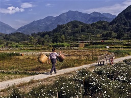 歙县许村-12