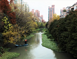 河道卫士